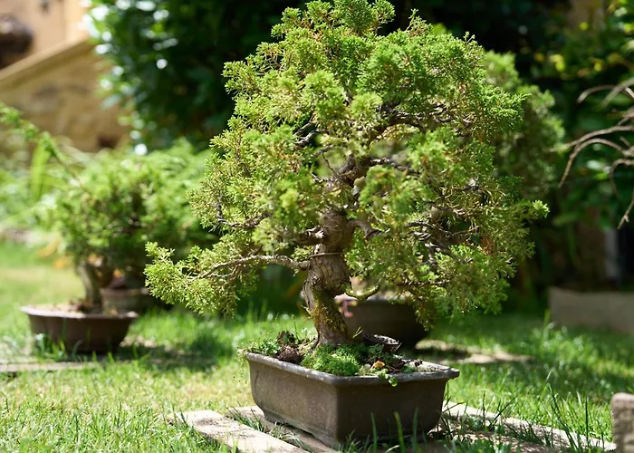 La Charmante Le Buisson-de-Cadouin